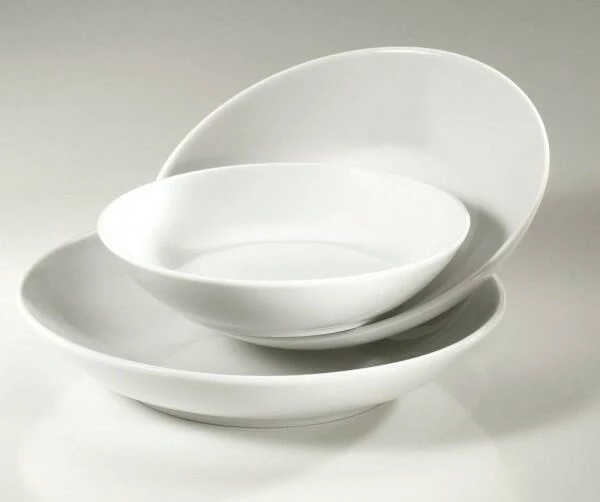 Pillivuyt Teller Tief Calotte Durchmesser 200 Mm 4 Pillivuyt Teller Tief Calotte Durchmesser 200 Mm – Bild 2