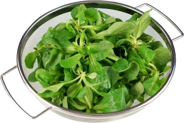 Lurch Standsieb Ø25cm 3 Lurch Standsieb Ø25cm