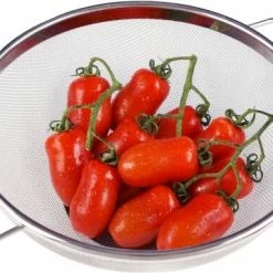 Lurch Standsieb Ø22cm -Casserole shop 215 RS3374 210281 Standsieb Edelstahl 25cm Tomaten scr