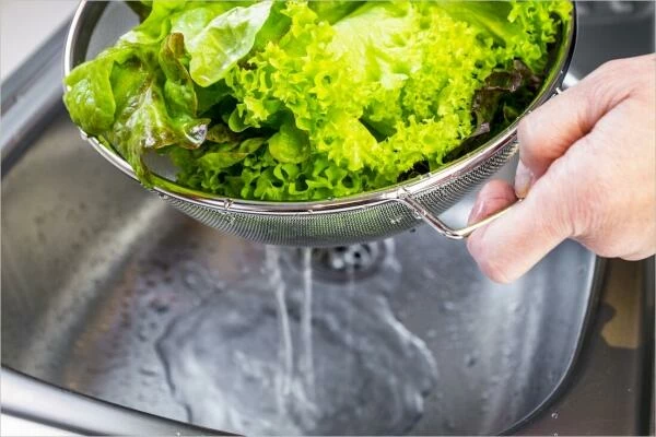 Lurch Standsieb Ø25cm 6 Lurch Standsieb Ø25cm – Bild 4