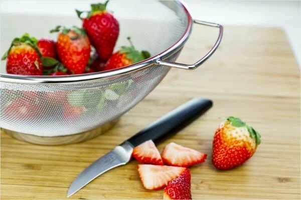 Lurch Standsieb Ø25cm 10 Lurch Standsieb Ø25cm – Bild 8