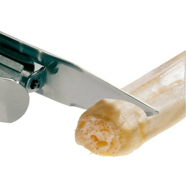 Westmark Monopol Spargelschäler Asparago Due 4 Westmark Monopol Spargelschäler Asparago Due – Bild 2